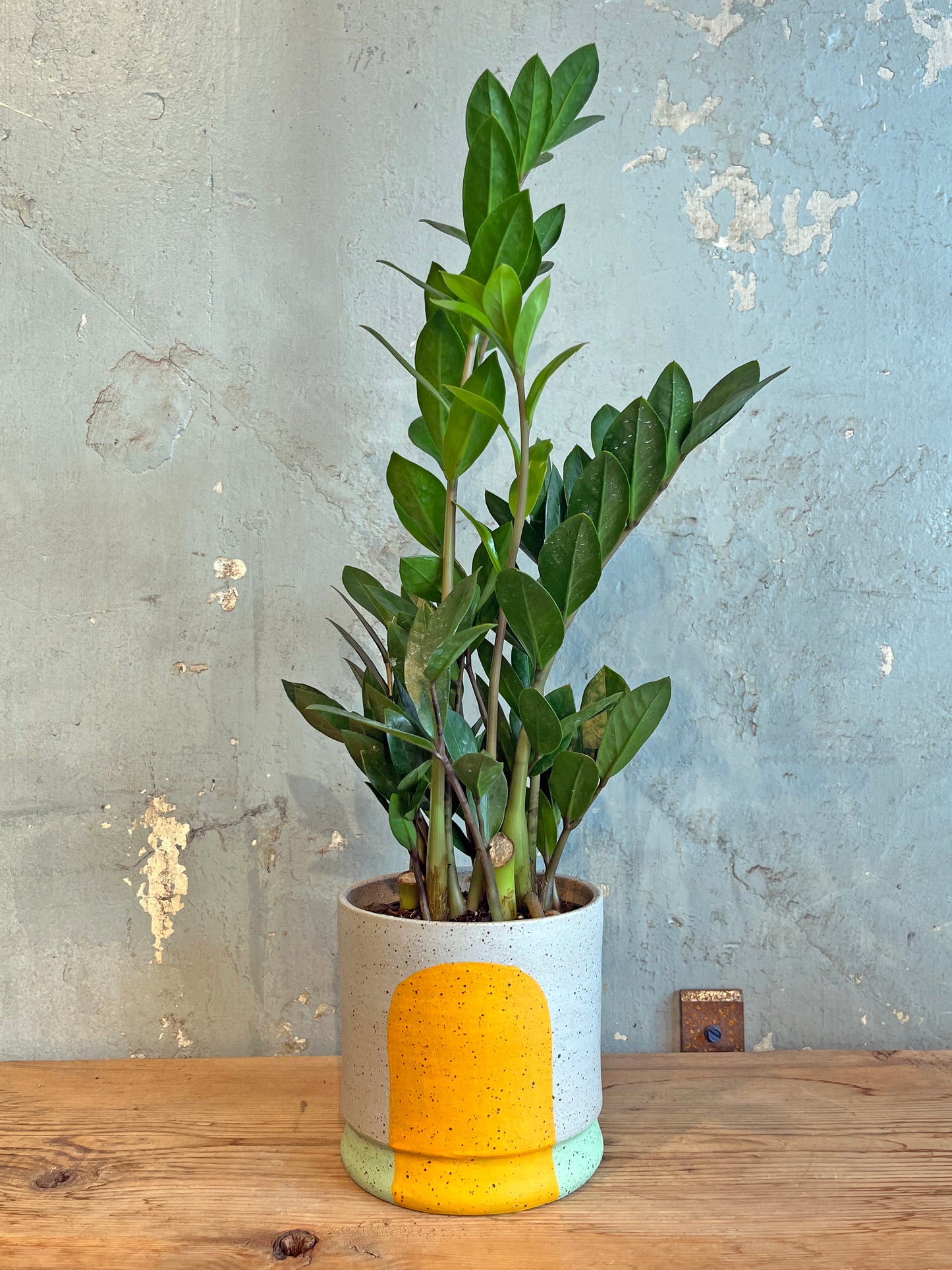 Portal Planter :: The Agnes