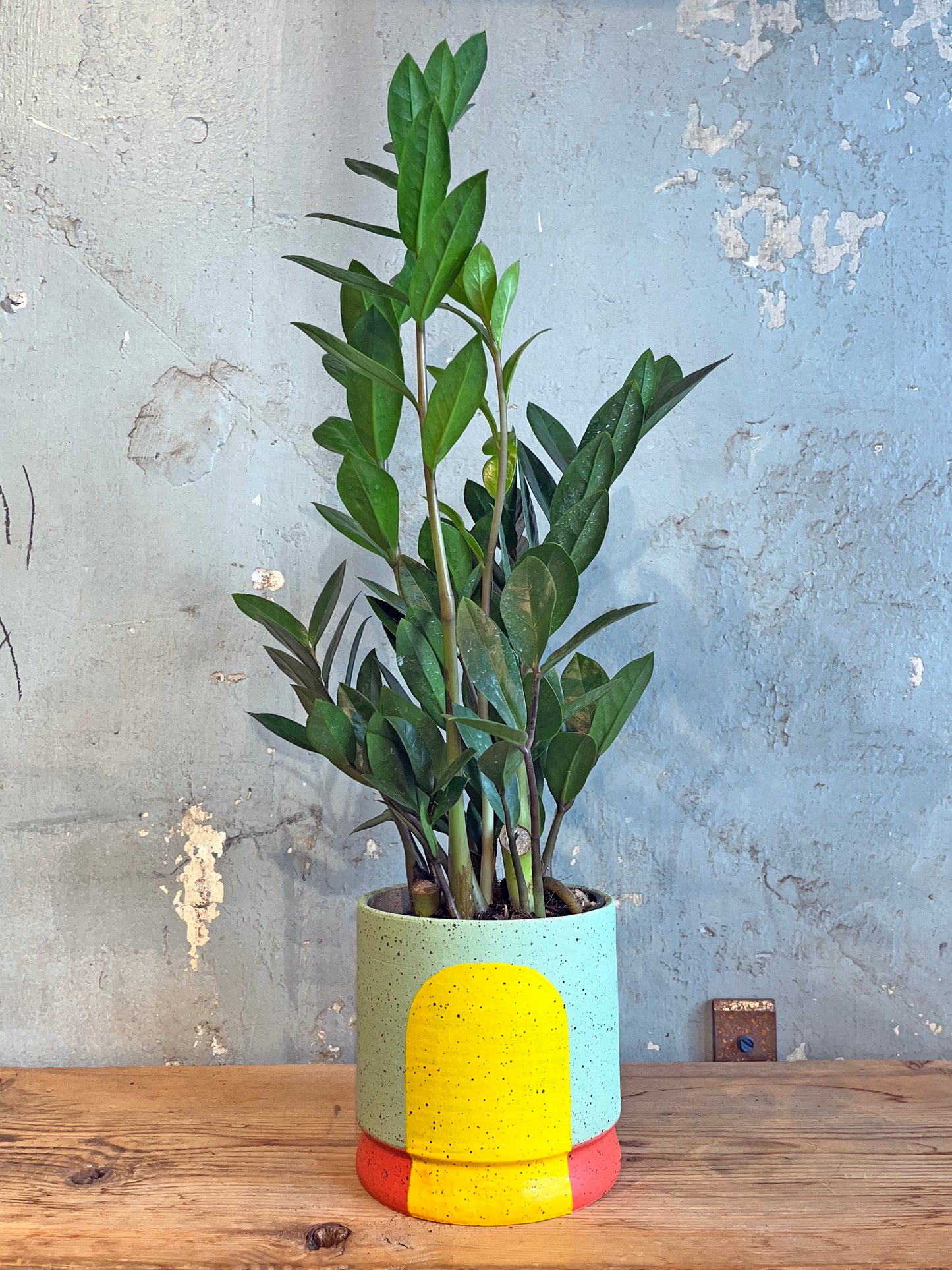 Portal Planter :: The Betty