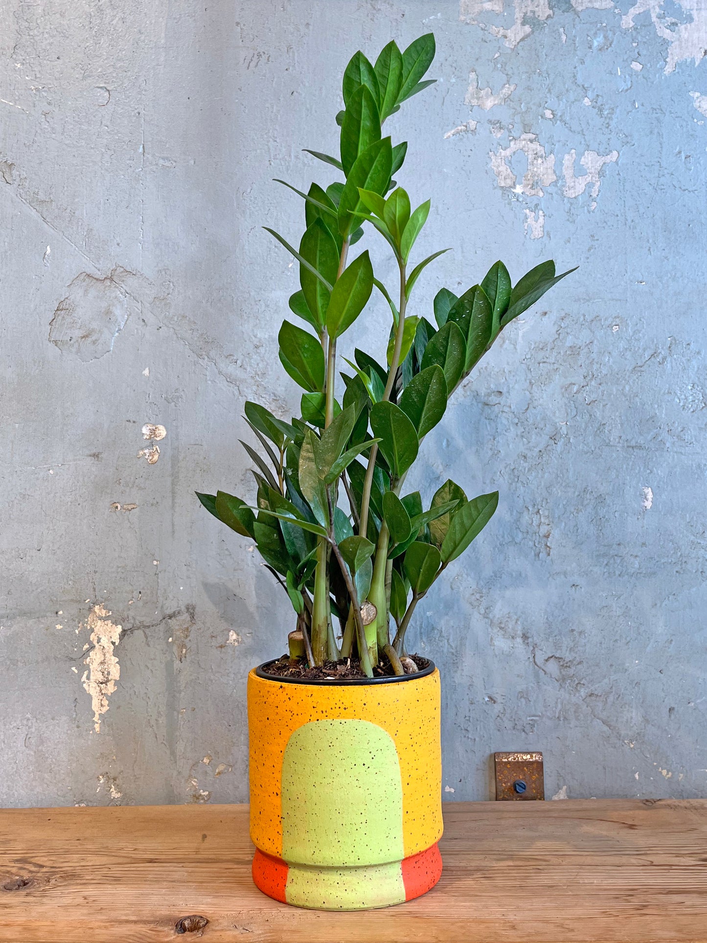 Portal Planter :: The Elsie