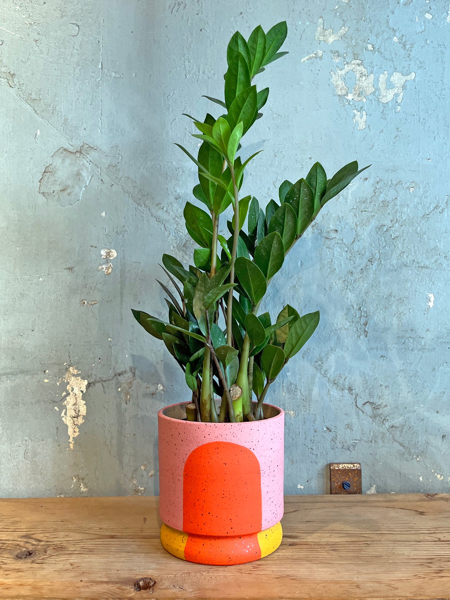 Portal Planter :: The Geraldine