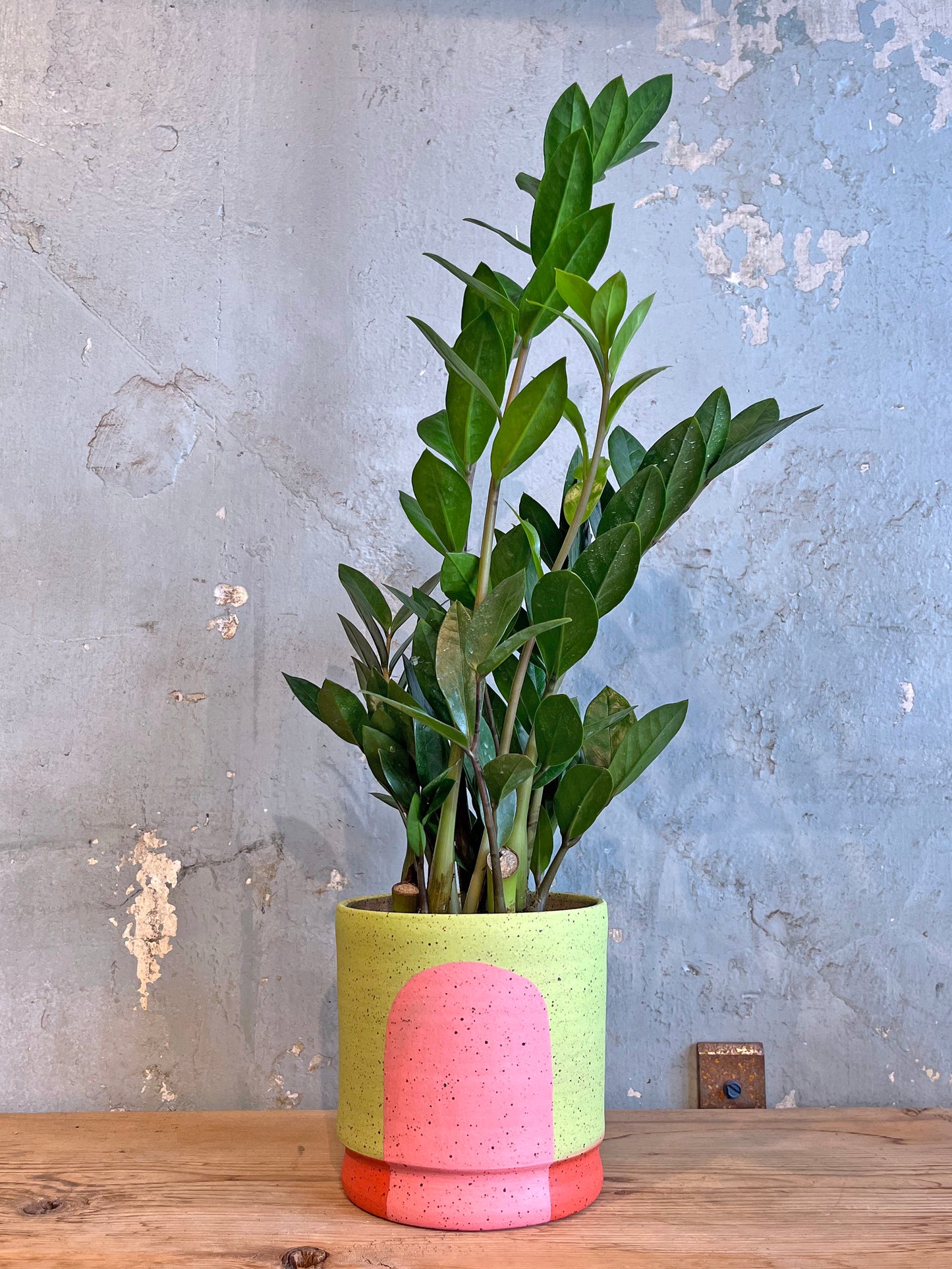 Portal Planter :: The Rosalie