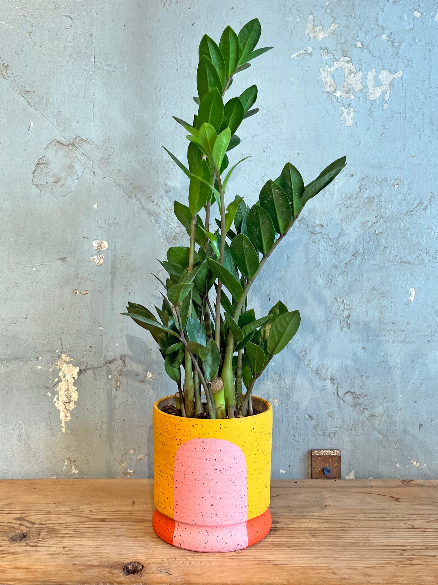 Portal Planter :: The Megan